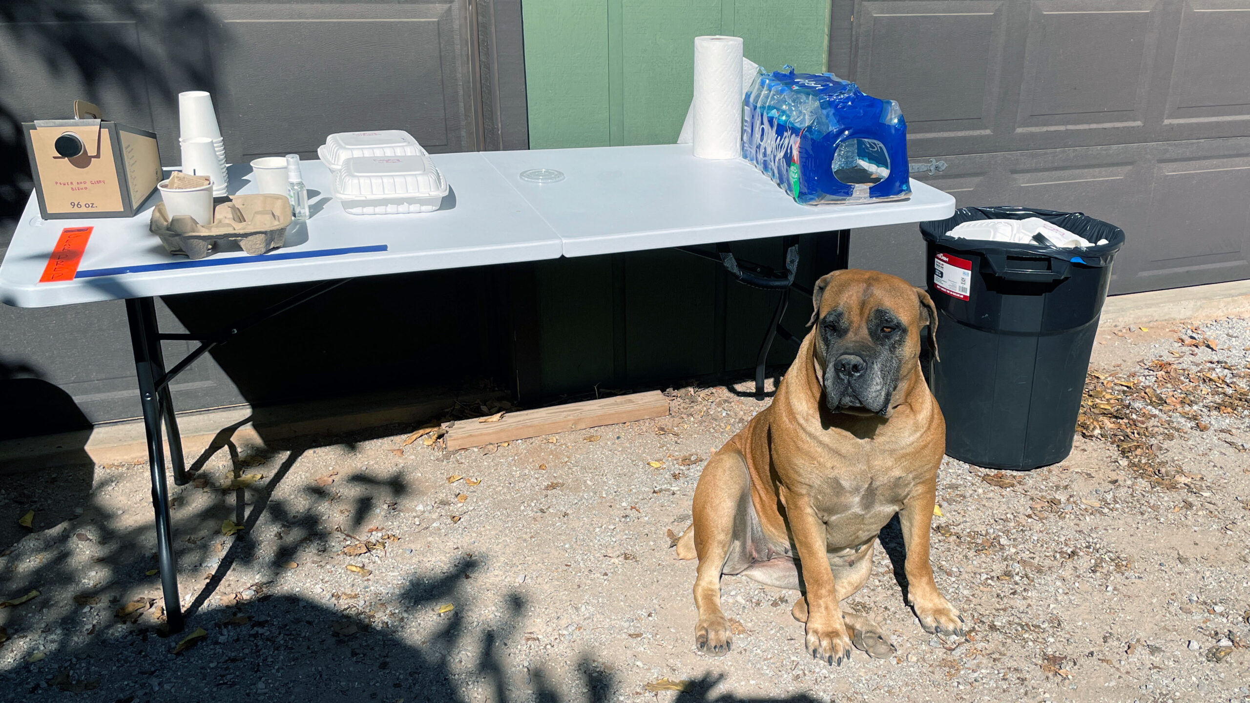 14 Ruger guarding Craft Services