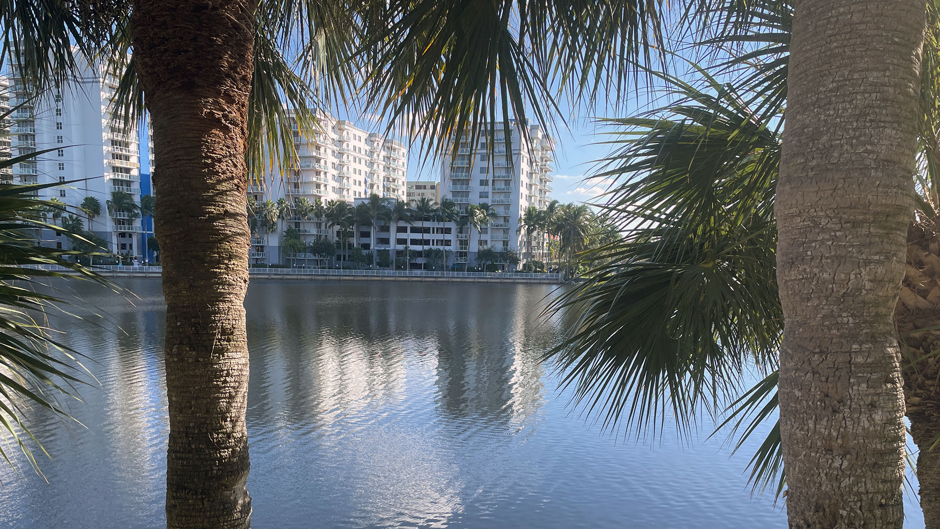 Office - Hilton Miami - lake outside office